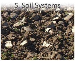 Soil and Food production systems